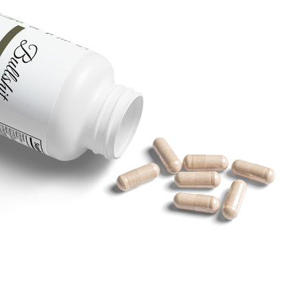 Brain Support Complex Supplement (60 Capsules)