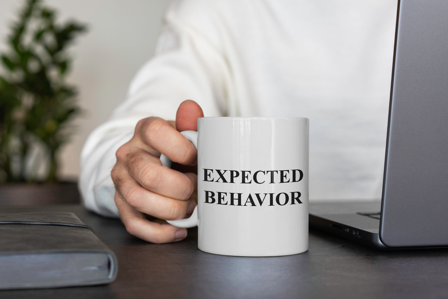 Expected behavior Mug
