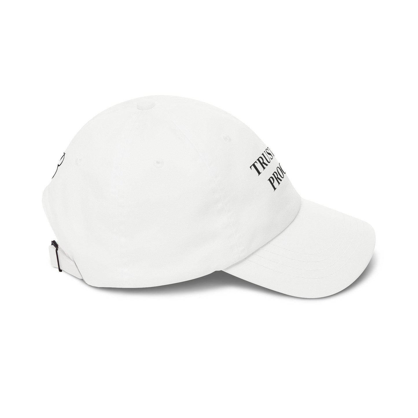 Trust The Process Dad Cap